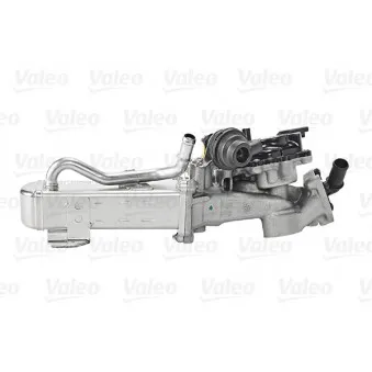 Module-EGR VALEO 700442