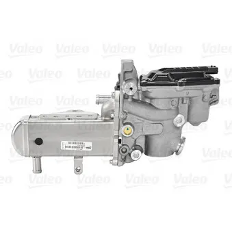 Module-EGR VALEO 700447