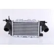 Intercooler, échangeur NISSENS 96772 - Visuel 1