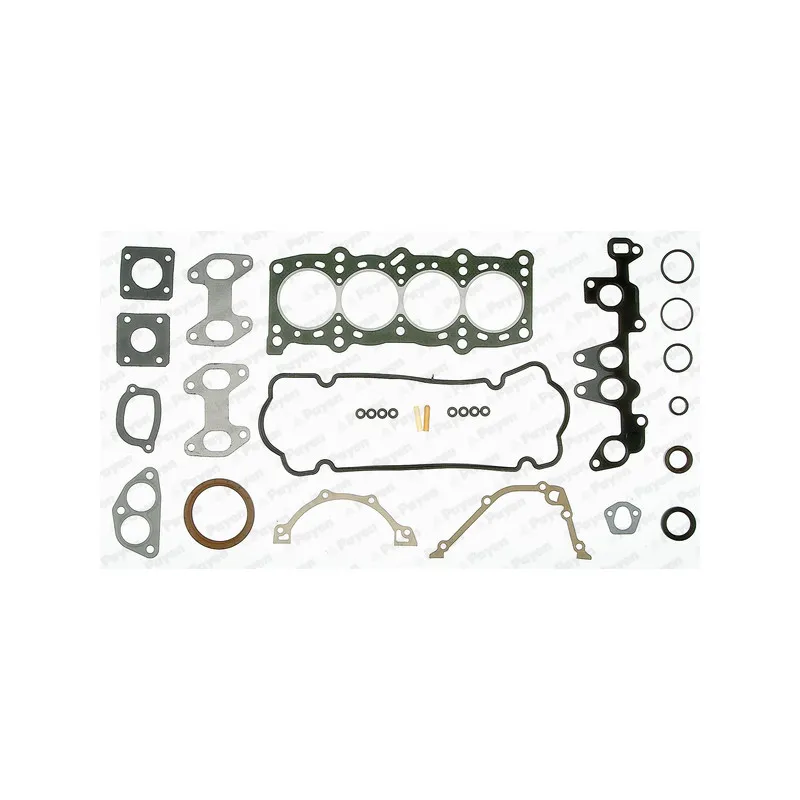 Pochette moteur complète PAYEN GP282