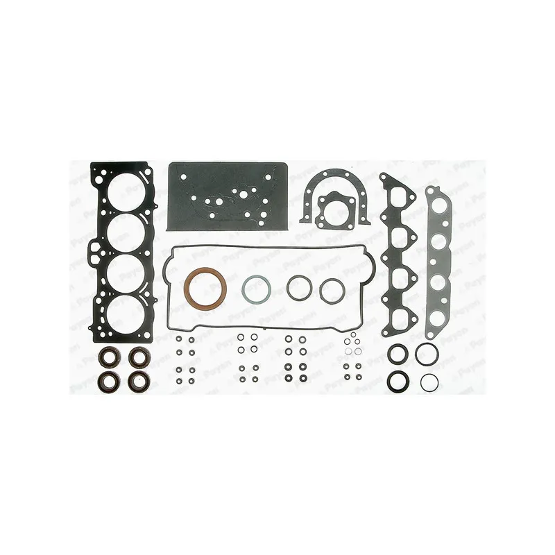 Pochette moteur complète PAYEN GV360