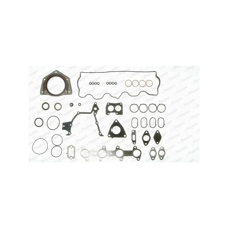 Pochette moteur complète PAYEN GZ790