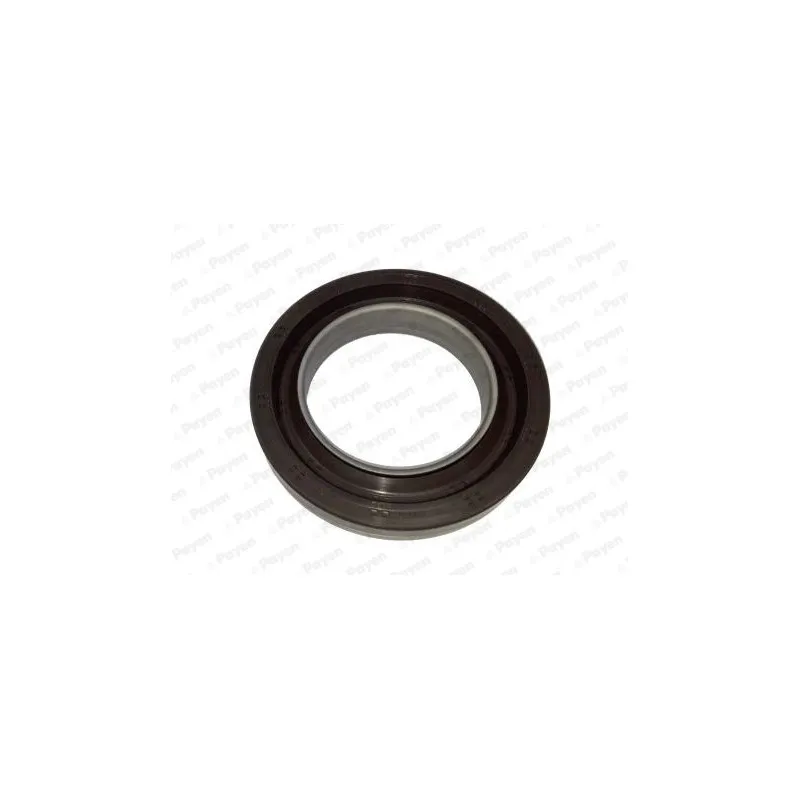 Bague d'étanchéité, vilebrequin PAYEN NA5202