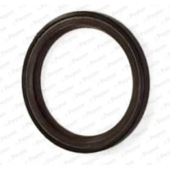 Bague d'étanchéité, arbre à cames PAYEN NA5317