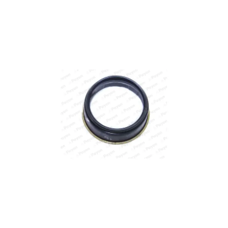 Bague d'étanchéité, différentiel PAYEN NJ702