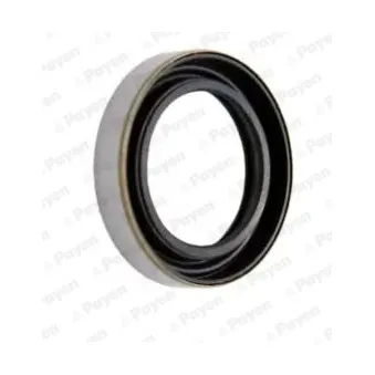 Bague d'étanchéité, différentiel PAYEN NK122