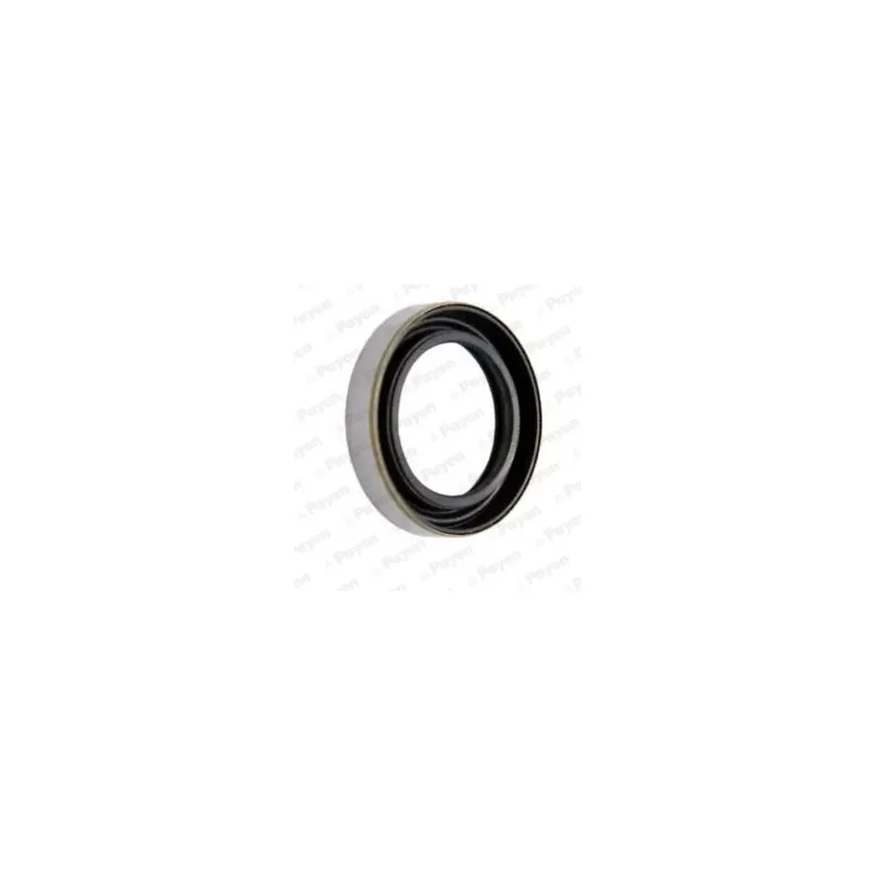Bague d'étanchéité, différentiel PAYEN NK122