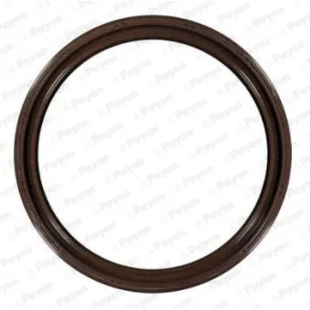 Bague d'étanchéité, vilebrequin PAYEN NK169