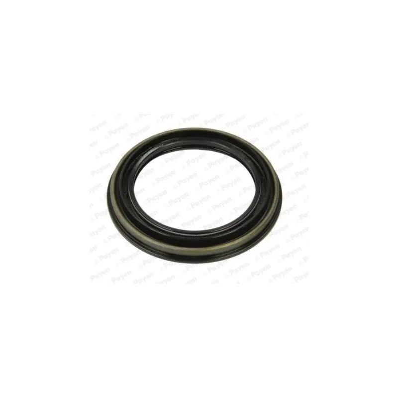 Bague d'étanchéité, moyeu de roue PAYEN NK212