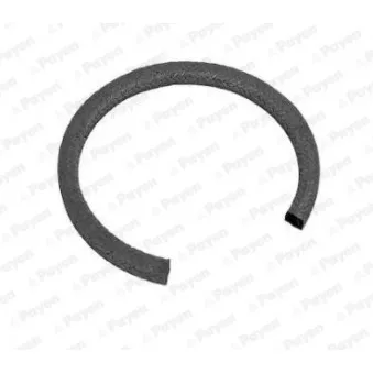 Bague d'étanchéité, vilebrequin PAYEN PA815