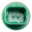 Sonde de température, liquide de refroidissement SWAG 62 93 7173 - Visuel 2