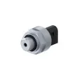 Capteur de pression, servofrein WABCO 4410442030 - Visuel 1