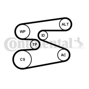Pompe à eau+Jeu de courroie trapézoïdale à nervures CONTITECH 6PK1698WP1