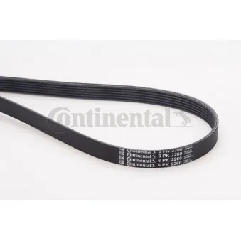 Courroie trapézoïdale à nervures CONTITECH 6PK2260
