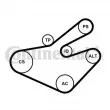 Jeu de courroies trapézoïdales à nervures CONTITECH 7PK1795K1 - Visuel 3