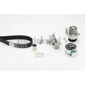 Pompe à eau + kit de courroie de distribution CONTITECH CT1028WP10