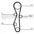 Pompe à eau + kit de courroie de distribution CONTITECH CT1142WP1 - Visuel 2