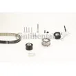 Kit de distribution CONTITECH CT1216K3 - Visuel 1