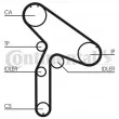 Pompe à eau + kit de courroie de distribution CONTITECH CT921WP1 - Visuel 2