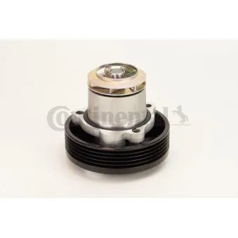 Pompe à eau CONTITECH WPS3121