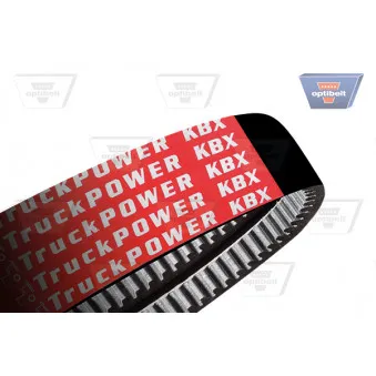Courroie trapézoïdale composite OPTIBELT 2-AVP 13 x 2516 TM