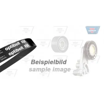 Jeu de courroies trapézoïdales à nervures OPTIBELT