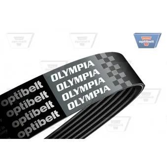 Courroie trapézoïdale à nervures OPTIBELT