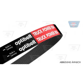 Courroie trapézoïdale à nervures OPTIBELT 8 PK 2515 TM