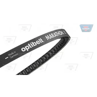 Courroie trapézoïdale OPTIBELT AVX 13 x 1050