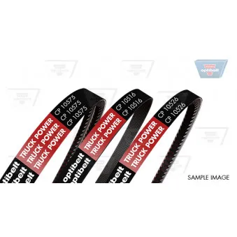 Courroie trapézoïdale OPTIBELT CP10563