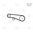Kit de distribution OPTIBELT KT 1387 - Visuel 2