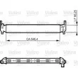 Radiateur, refroidissement du moteur VALEO 735310 - Visuel 1