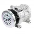 Compresseur, climatisation DENSO DCP09062 - Visuel 1