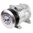 Compresseur, climatisation DENSO DCP09063 - Visuel 1