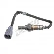 Sonde lambda DENSO DOX-2066 - Visuel 1