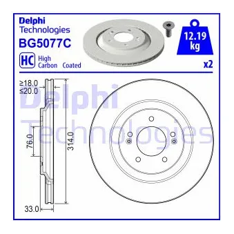 Jeu de 2 disques de frein arrière DELPHI BG5077C