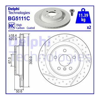 Jeu de 2 disques de frein arrière DELPHI