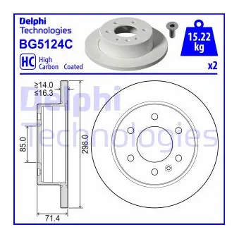 Jeu de 2 disques de frein arrière DELPHI BG5124C