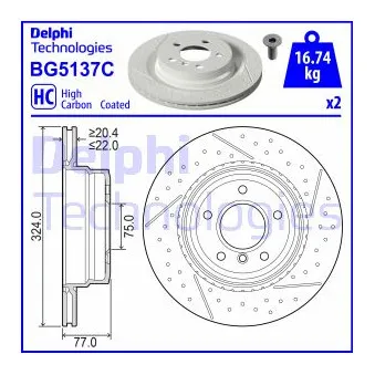 Jeu de 2 disques de frein arrière DELPHI