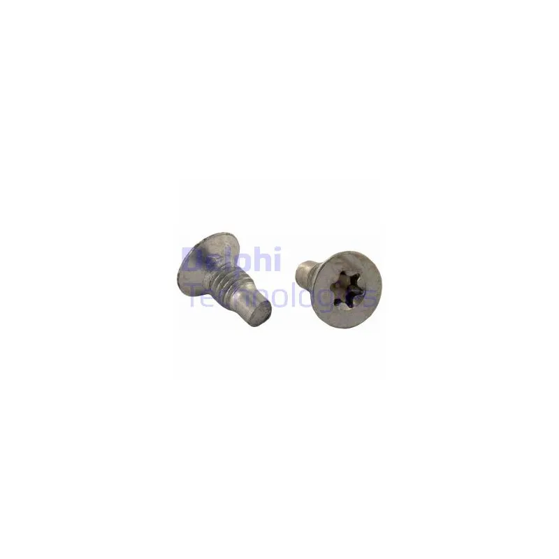 Vis, disque de frein DELPHI BGK001
