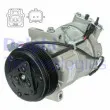 Compresseur, climatisation DELPHI CS20477 - Visuel 2