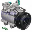 Compresseur, climatisation DELPHI CS20489 - Visuel 2