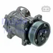 Compresseur, climatisation DELPHI CS20491 - Visuel 2