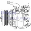 Compresseur, climatisation DELPHI CS20503 - Visuel 1