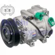 Compresseur, climatisation DELPHI CS20514 - Visuel 1