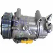 Compresseur, climatisation DELPHI CS20526 - Visuel 1