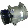 Compresseur, climatisation DELPHI TSP0155897 - Visuel 1