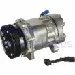 Compresseur, climatisation DELPHI TSP0159060 - Visuel 1
