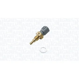 Sonde de température, liquide de refroidissement MAGNETI MARELLI 171916011880