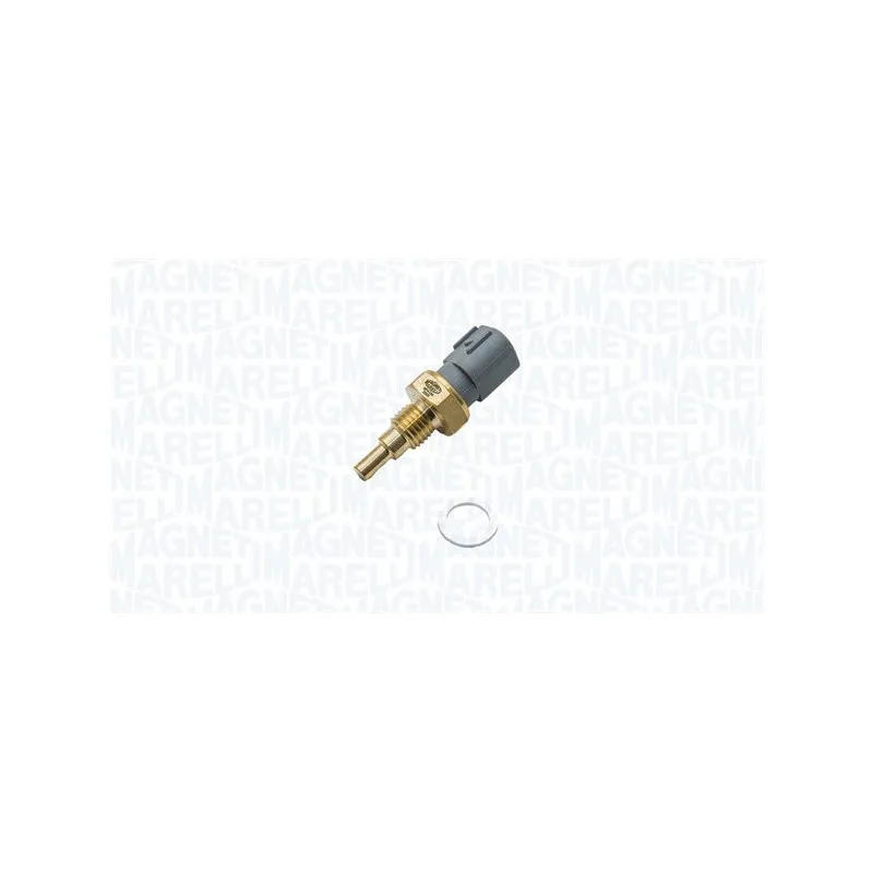 Sonde de température, liquide de refroidissement MAGNETI MARELLI 171916011880
